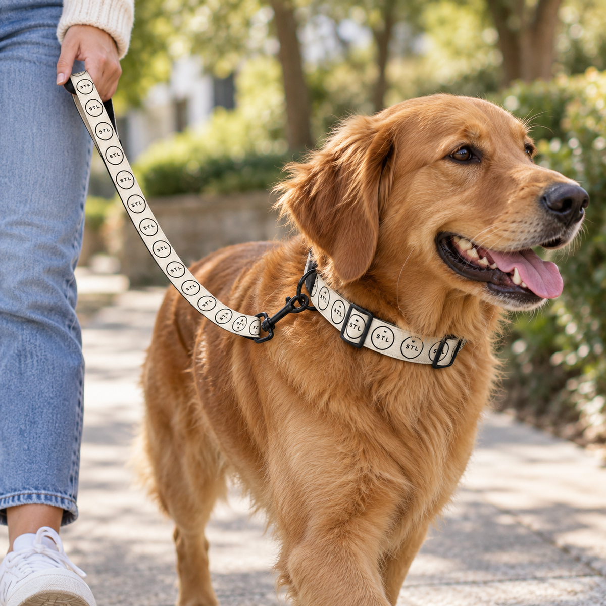Pet collar & leash