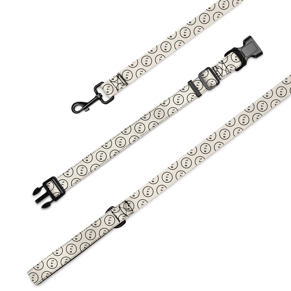Pet collar & leash
